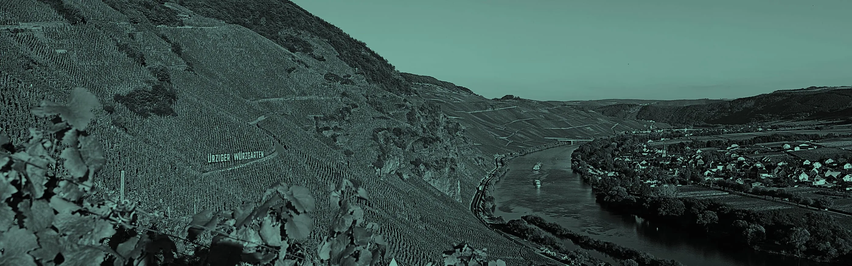 Blick auf den Ürziger Würzgarten und die Mosel